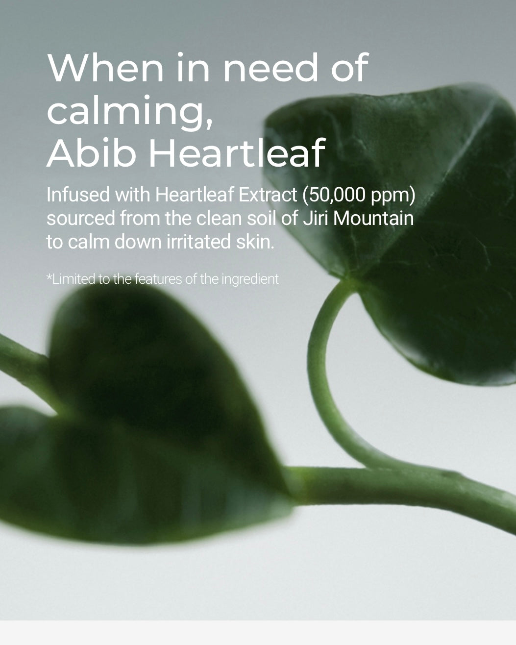 [ Abib ] Heartleaf Calming Toner Skin Booster 210ml