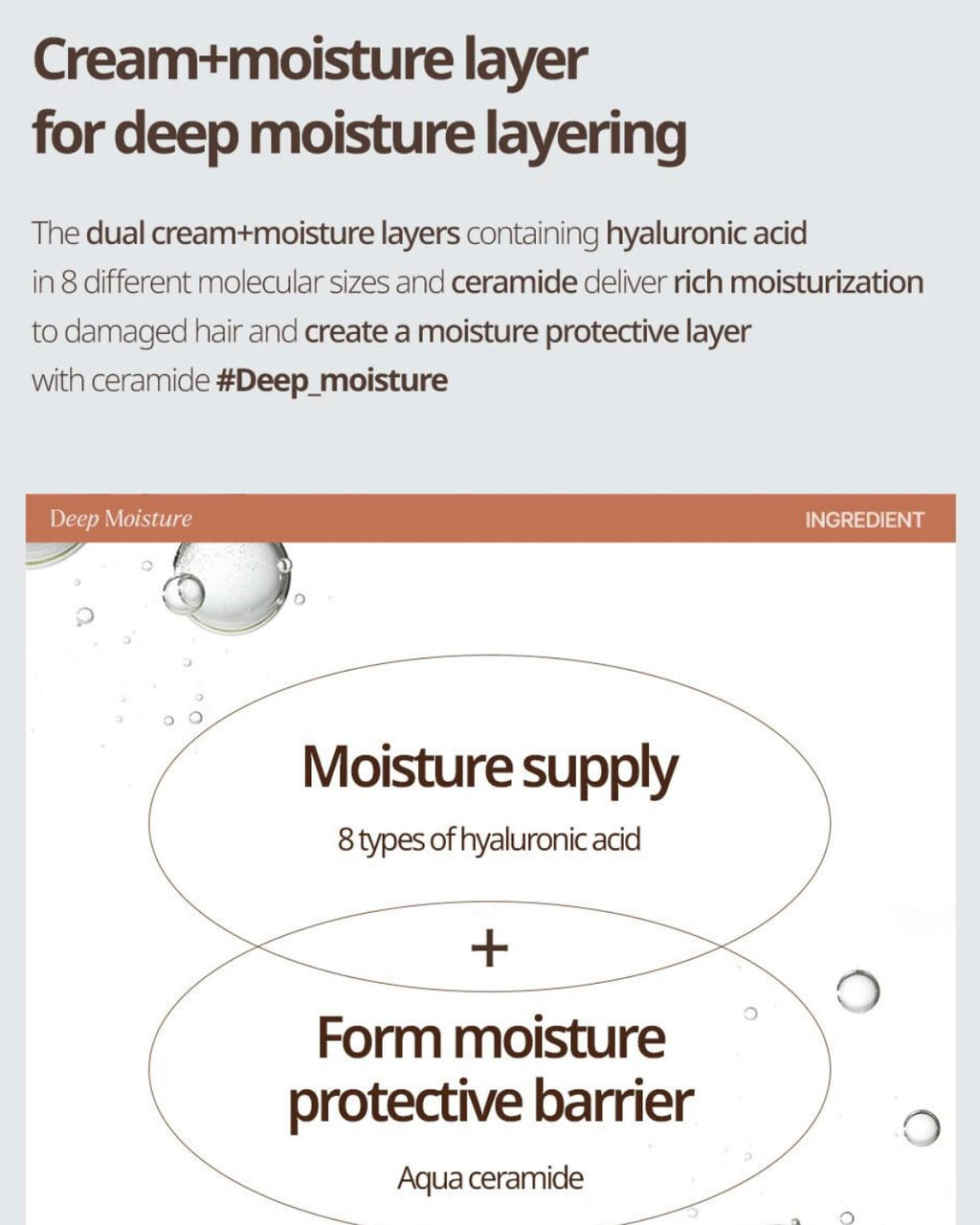 [ Healingbird ] Revive No Wash Treatment Deep Moisture 200mL Set (+Damage Repair 32mL)