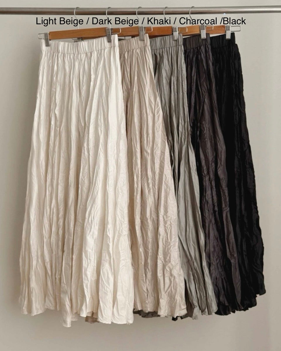 Shy Pleats Maxi Skirt