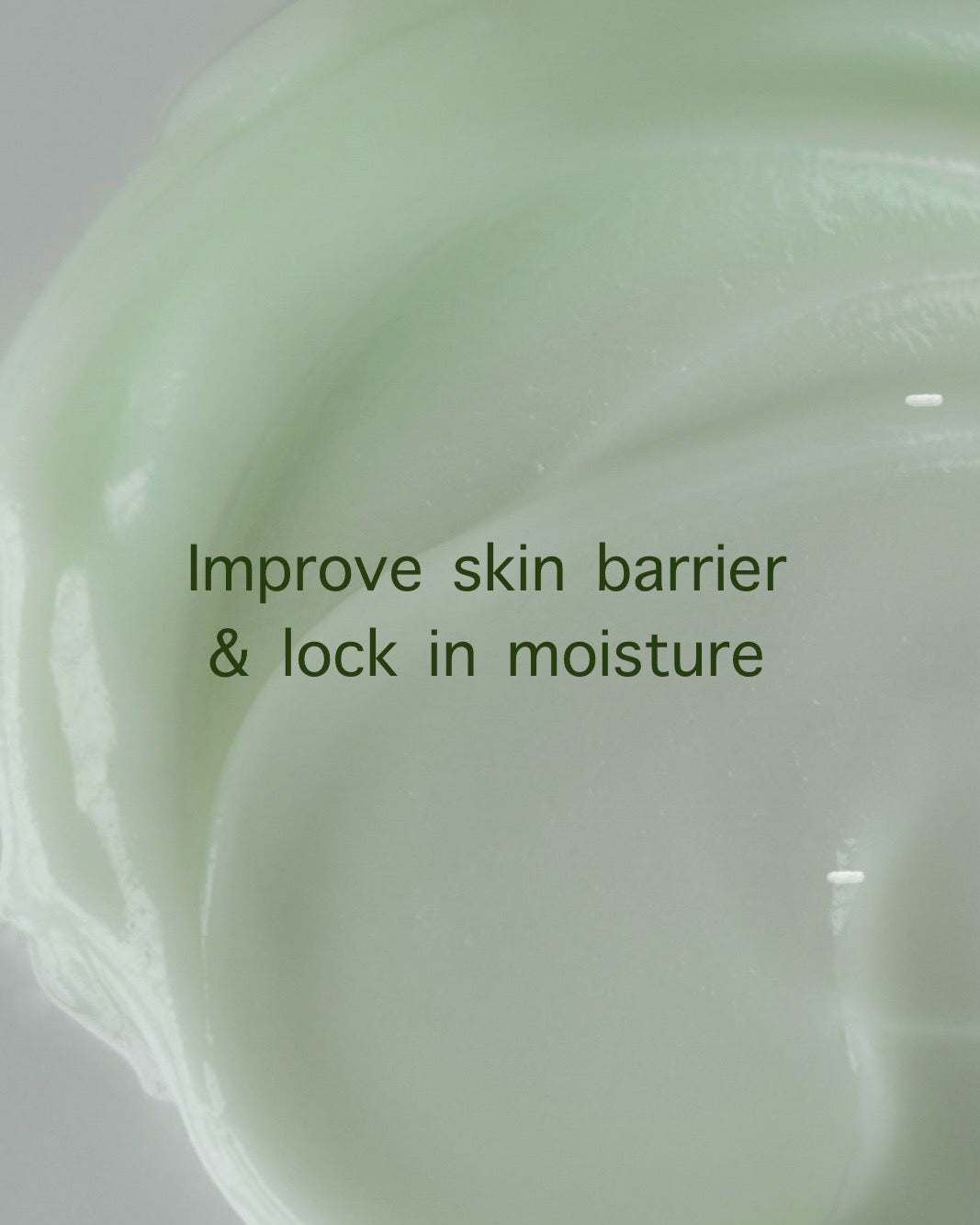 [ Abib ] Heartleaf Cream Calming Tube 75mL