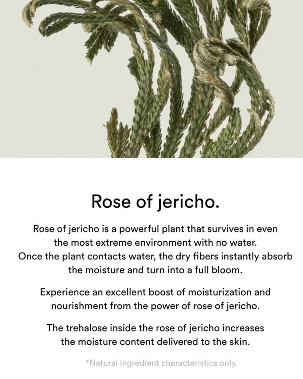 [ Abib ] Collagen Gel Mask Sheet Jericho Rose Jelly 1P