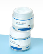 [ ROUND LAB ] Birch Juice Moisturizing Cream 80ml