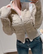 Link Knit Zip-Up