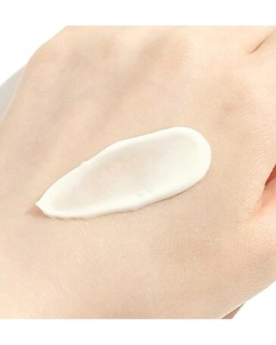[ ROUND LAB ] Birch Juice Moisturizing Sunscreen 50ml