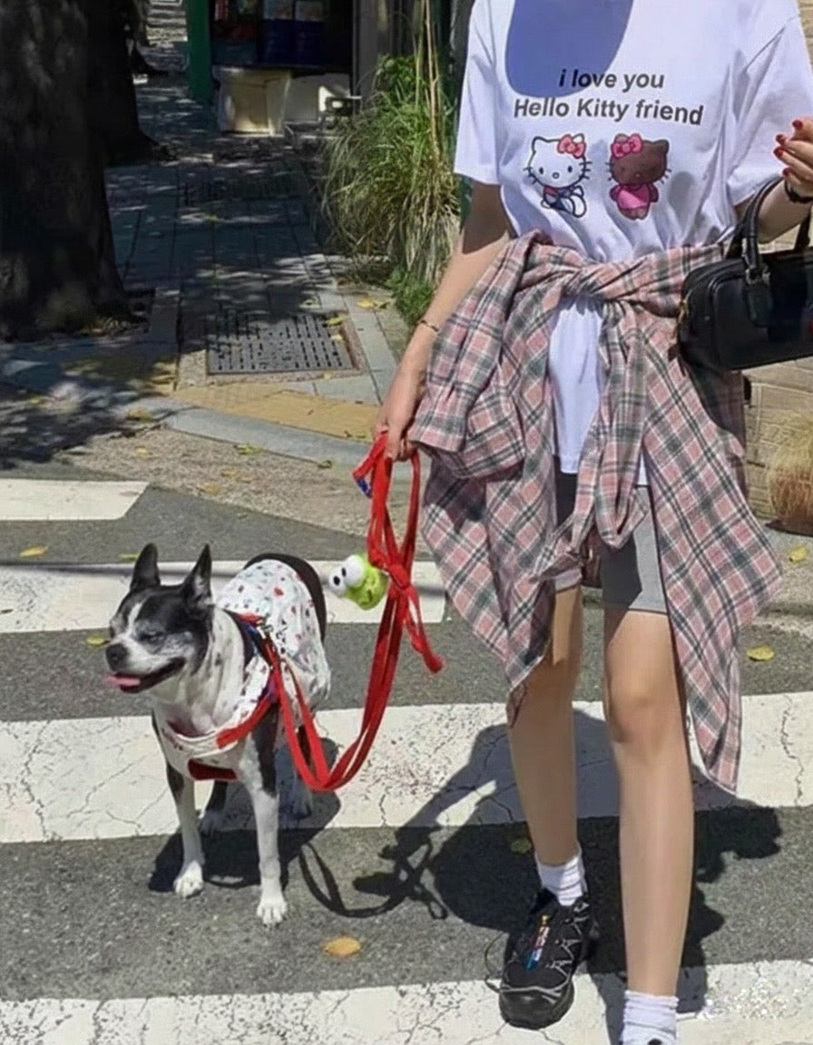 Pink Check Overfit Shirt