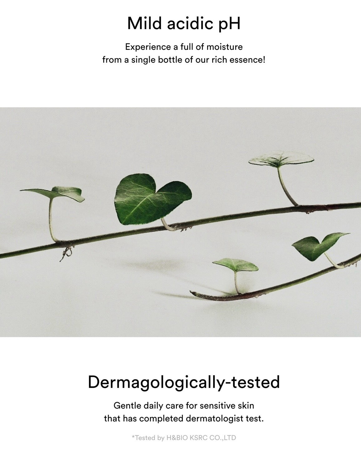 [ Abib ] Mild Acidic pH Sheet Mask Heartleaf Fit 1P